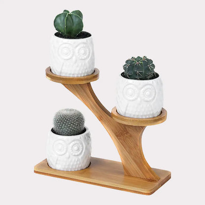 Maceta de Cerámica para Suculentas (Diseño de Búho)